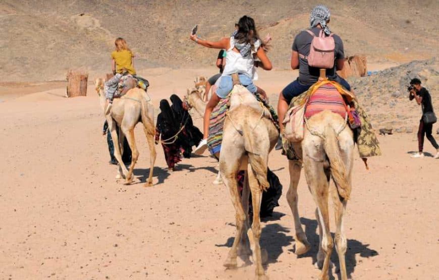 Buggy Safari Hurghada: privates Wüstenabenteuer 3