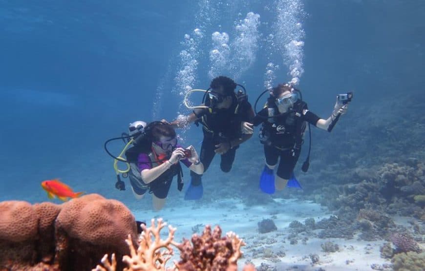 Plongée à Hurghada : deux plongées, bateau et déjeuner 3