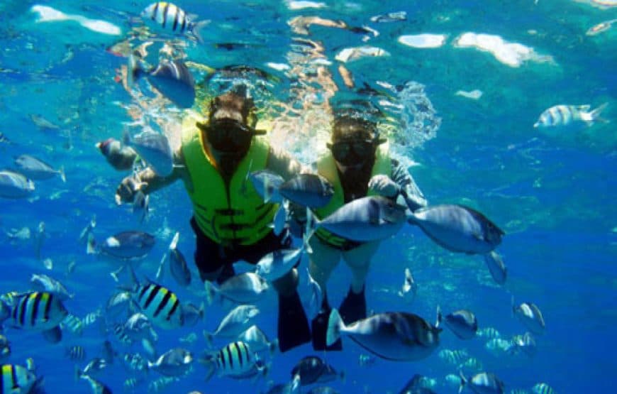 Paradise Island Hurghada : plage, snorkeling et déjeuner 4