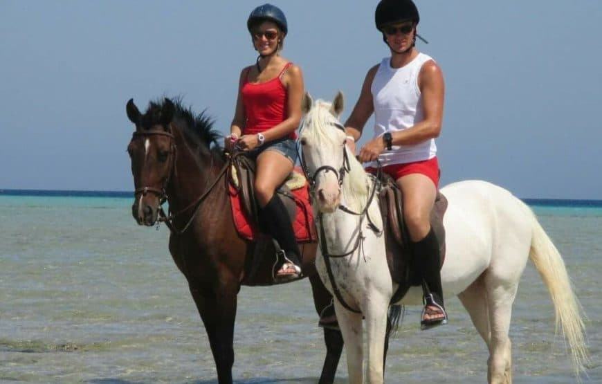 Reiten in Hurghada: Strand- und Wüstenausritt 4