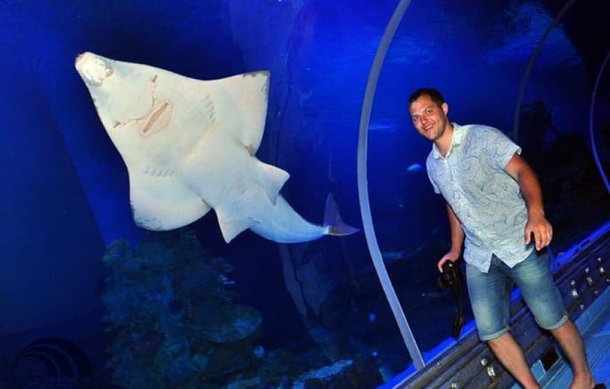 Hurghada Grand Aquarium: Eintritt & Hoteltransfer 2
