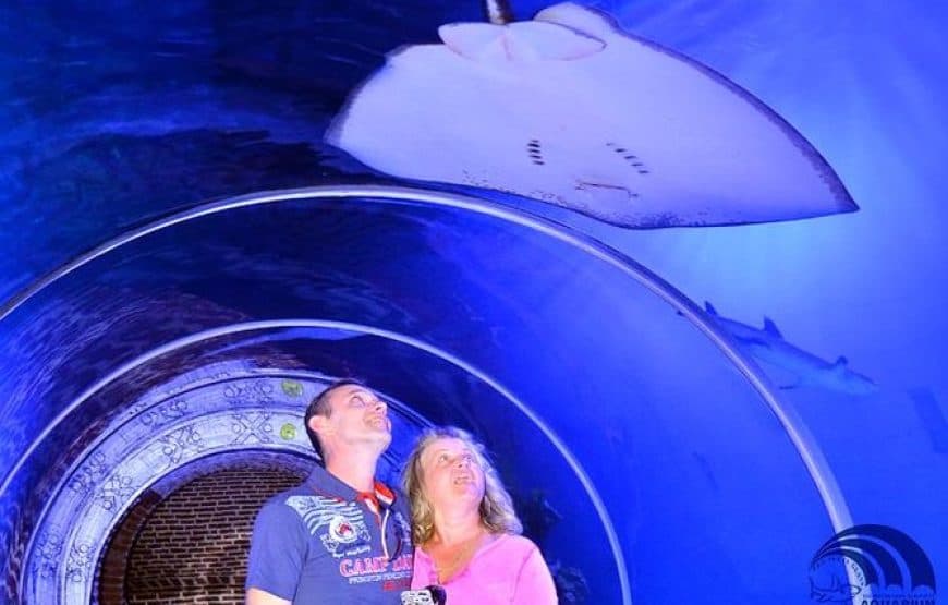 Hurghada Grand Aquarium: Eintritt & Hoteltransfer 4