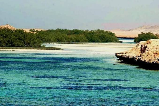 Ras Mohammed Halbtagestour mit Bus, Magic Lake & Allah-Tor 4