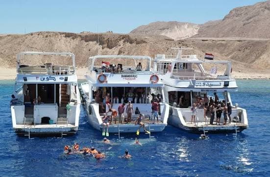 Fun Tours