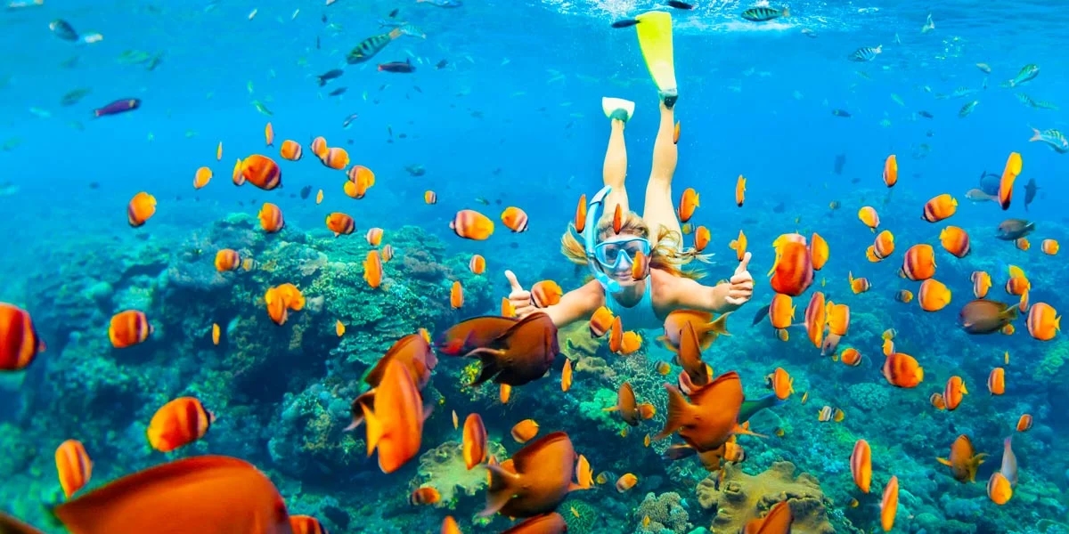 Snorkeling tours and excursions in Egypt