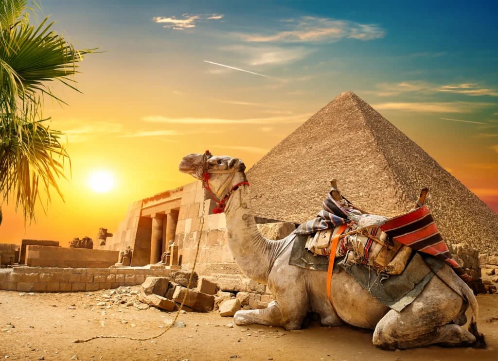 Top 7 unvergessliche Tagesausflüge nach Kairo ab Makadi Bay – Entdecken Sie das wahre Ägypten!