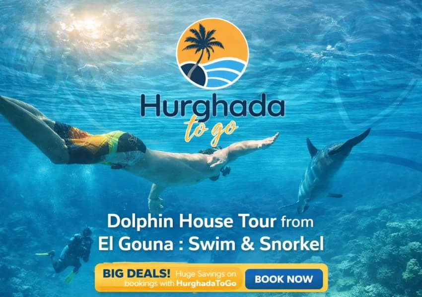 Dolphin House Tour from El Gouna : Swim & Snorkel