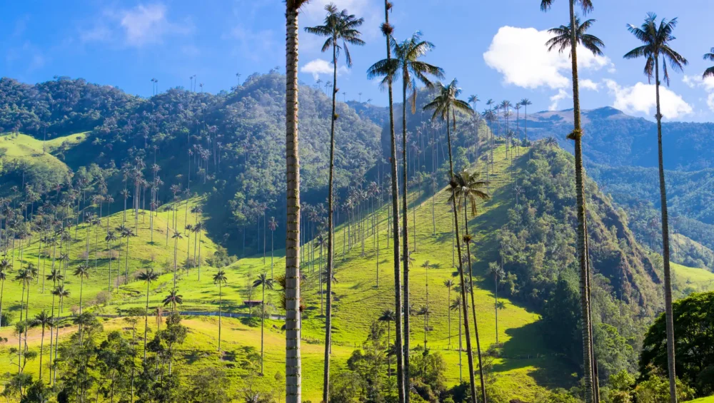 Adventure Colombia
