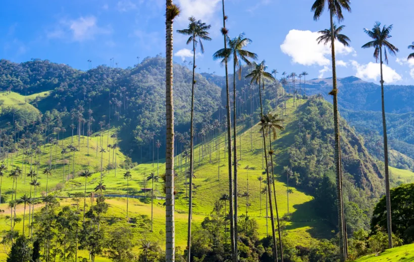 Adventure Colombia