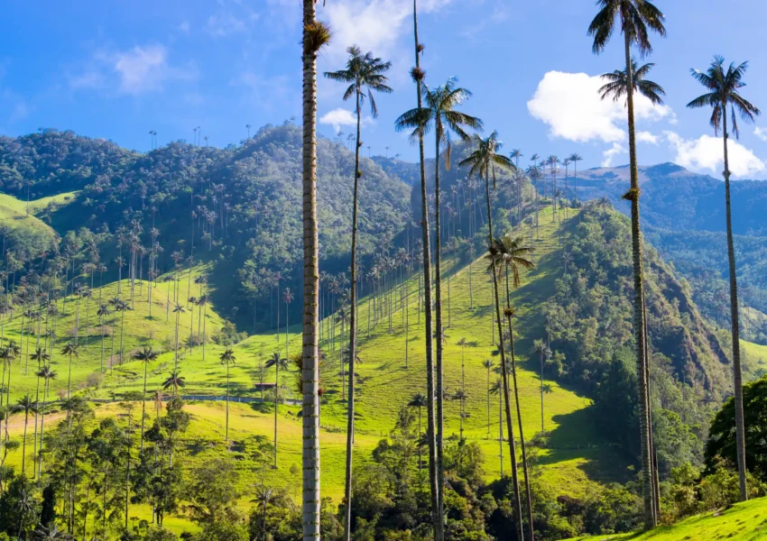 Adventure Colombia