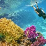 Paradise Island Snorkeling Tour 2026 Breathtaking Experience