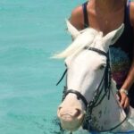 Horse Riding Adventure 2 Hours sea and Desert in Hurghada