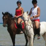Horse Riding Adventure 2 Hours sea and Desert in Hurghada