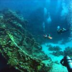 Scuba Diving Tour For Certified Divers with Lunch 2026