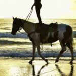 Horse Riding Adventure 2 Hours sea and Desert in Hurghada