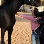 Horse Riding Adventure 2 Hours sea and Desert in Hurghada