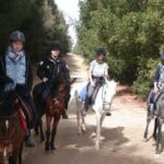 Horse Riding Adventure 2 Hours sea and Desert in Hurghada