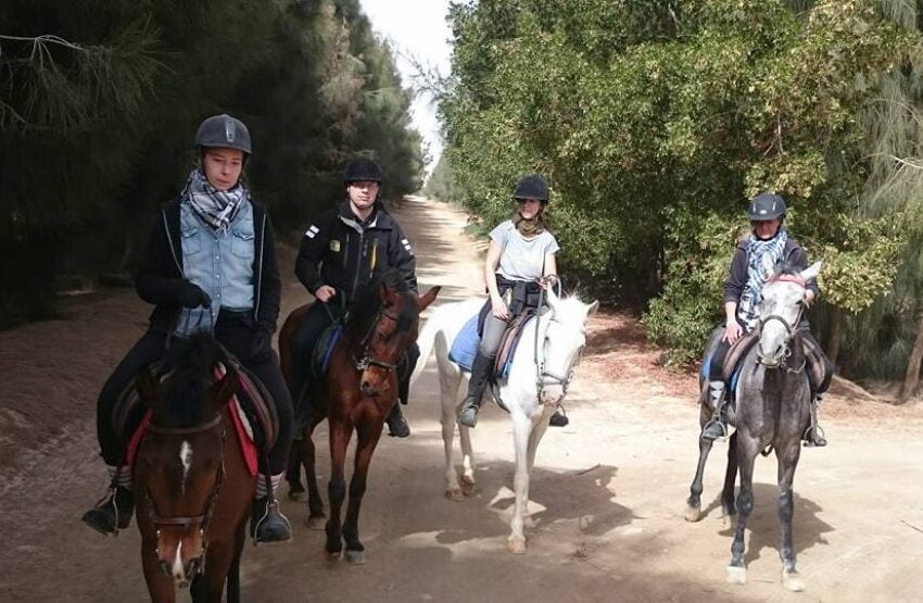 Sea and Desert Tour by Horse