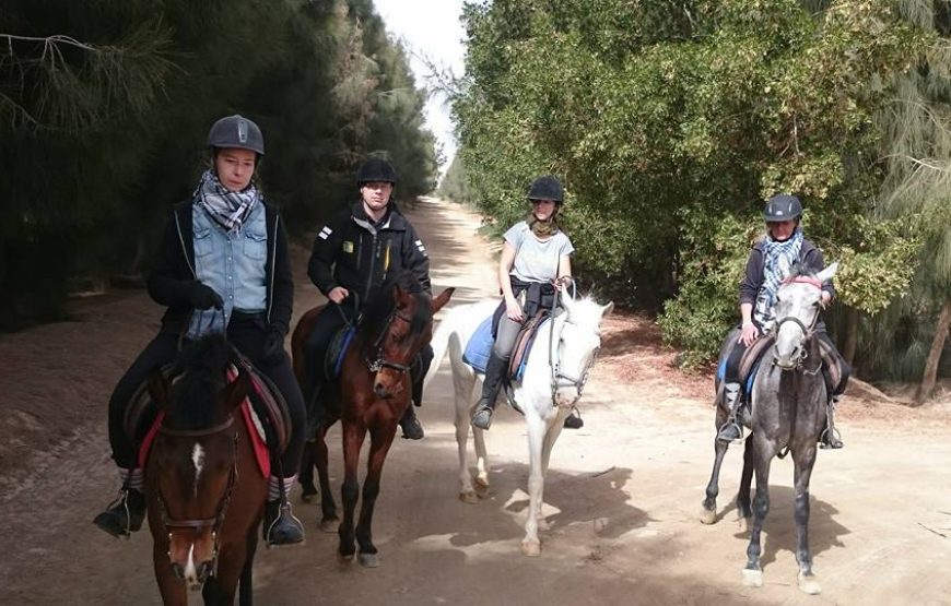 Sea and Desert Tour by Horse