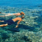 Swimming with Dolphins & Snorkeling Trip in Hurghada 2 spots adventure