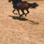 Horse Riding Adventure 2 Hours sea and Desert in Hurghada