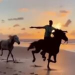 Horse Riding Adventure 2 Hours sea and Desert in Hurghada