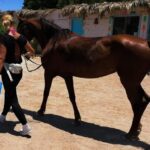 Horse Riding Adventure 2 Hours sea and Desert in Hurghada