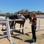 Horse Riding Adventure 2 Hours sea and Desert in Hurghada