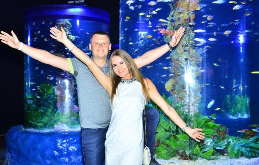 Hurghada Grand Aquarium Tour with Tickets & Transfers