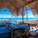 Mahmya Island Snorkeling Tour : Red Sea Crystal Waters
