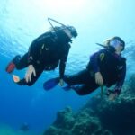 Scuba Diving Tour in Hurghada : Explore the Red Sea