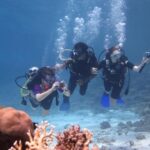 Scuba Diving Tour in Hurghada : Explore the Red Sea