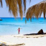 Mahmya Island Snorkeling Tour : Red Sea Crystal Waters