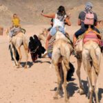 Super Safari Tour in Hurghada : Best Desert Adventure