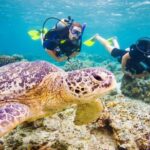 Scuba Diving Tour in Hurghada : Explore the Red Sea