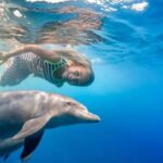 Swimming with Dolphins & Snorkeling Trip in Hurghada 2 spots adventure