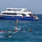 Swimming with Dolphins & Snorkeling Trip in Hurghada 2 spots adventure