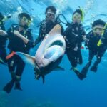 Scuba Diving Tour in Hurghada : Explore the Red Sea