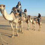 Epic Sunset Desert Adventure: 3 Hour Desert Safari Quad Bike and Camel Ride