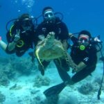 Scuba Diving Tour in Hurghada : Explore the Red Sea
