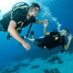 Scuba Diving Tour in Hurghada : Explore the Red Sea