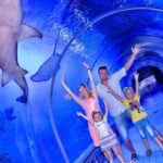 Hurghada Grand Aquarium Tour with Tickets & Transfers