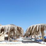 Mahmya Island Snorkeling Tour : Red Sea Crystal Waters