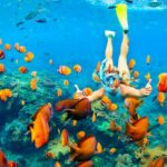 Mahmya Island Snorkeling Tour : Red Sea Crystal Waters