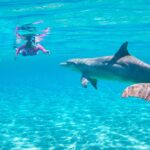 Paradise Island Snorkeling Tour 2026 Breathtaking Experience