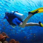 Scuba Diving Tour For Certified Divers with Lunch 2026