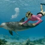 Swimming with Dolphins & Snorkeling Trip in Hurghada 2 spots adventure