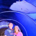 Hurghada Grand Aquarium Tour with Tickets & Transfers