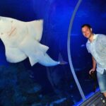 Hurghada Grand Aquarium Tour with Tickets & Transfers