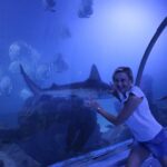 Hurghada Grand Aquarium Tour with Tickets & Transfers